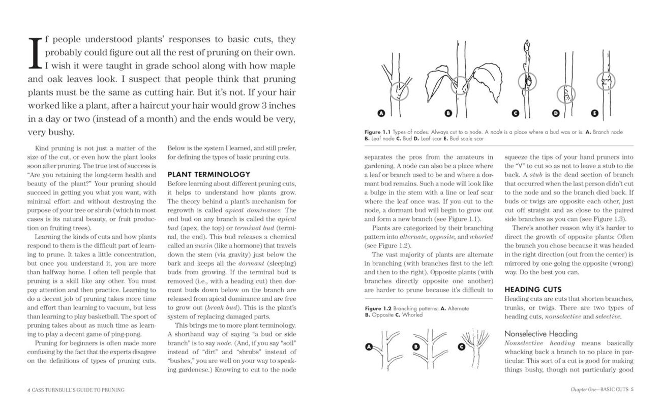 Best Gardening Guide – Cass Turnbull’s Pruning 3rd Edition Review
