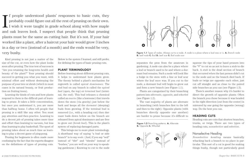 Best Gardening Guide – Cass Turnbull’s Pruning 3rd Edition Review