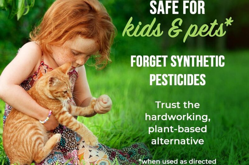 Best Indoor Pest Control – Mighty Mint Peppermint Oil Insect Repellent Spray – Indoor & Outdoor Bug Control for Spiders, Ants, Roaches, and More – Plant-Based, Extra-Strong Formula – 16 oz