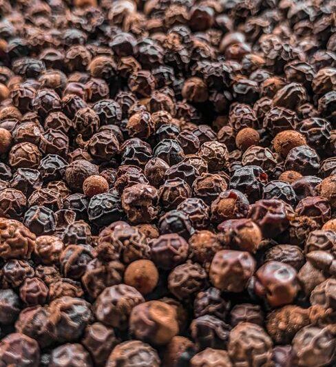 What Are the Best Black Peppercorns for Fresh Flavor and Easy Cooking